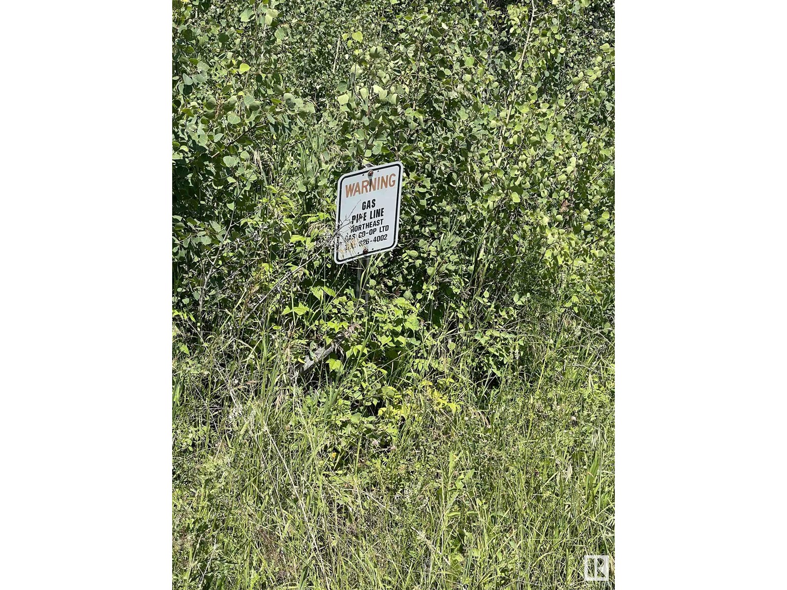 Pt Of Ne-34-61-4w4m, Rural Bonnyville M.d., Alberta  T0A 0B0 - Photo 13 - E4398083