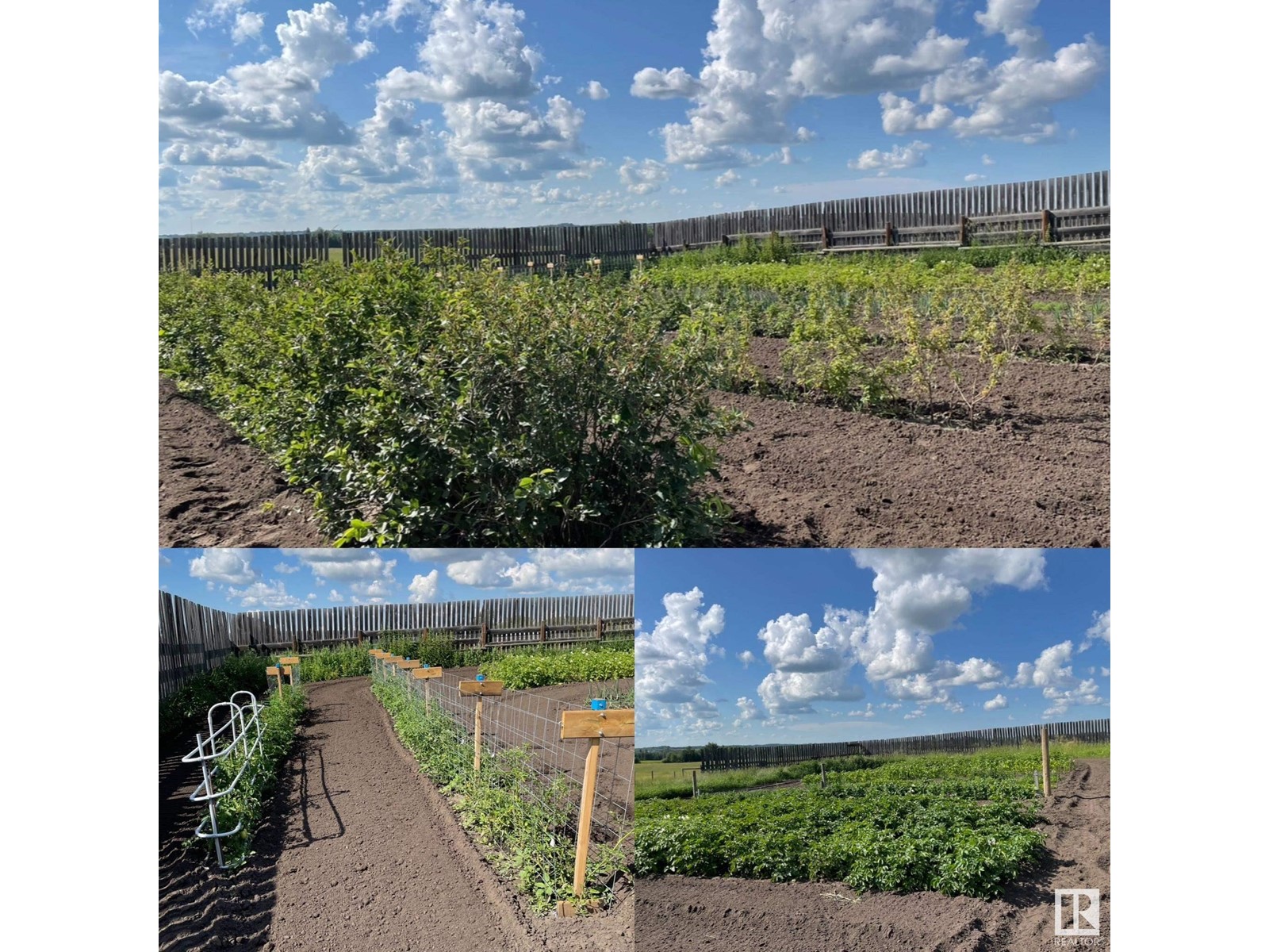 56220 Rge Rd 231, Rural Sturgeon County, Alberta  T0A 1N4 - Photo 75 - E4395623