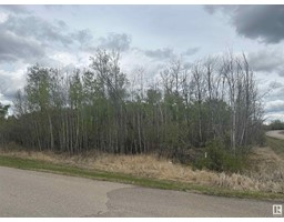 111 62212 Rge Rd 412 None
