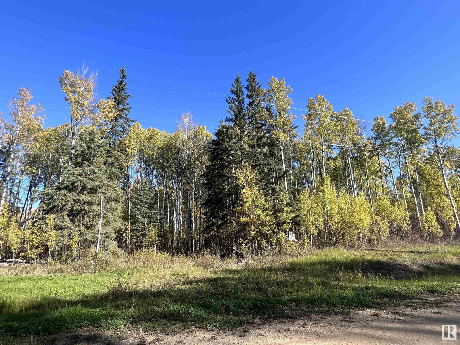 Lot 5 Forest Road (Rr 214), Rural Athabasca County, Alberta  T9S 1C4 - Photo 5 - E4403787