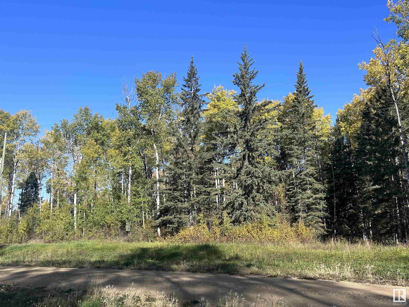 Lot 8 Forest Road (Rr 214), Rural Athabasca County, Alberta  T9S 1C4 - Photo 2 - E4403767