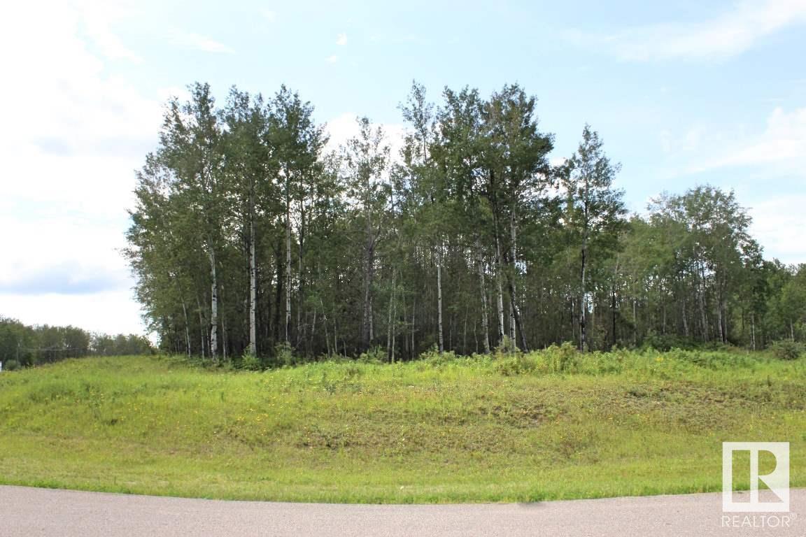 39 62331 Rge Rd 411a, Rural Bonnyville M.d., Alberta  T9M 1P1 - Photo 3 - E4410455