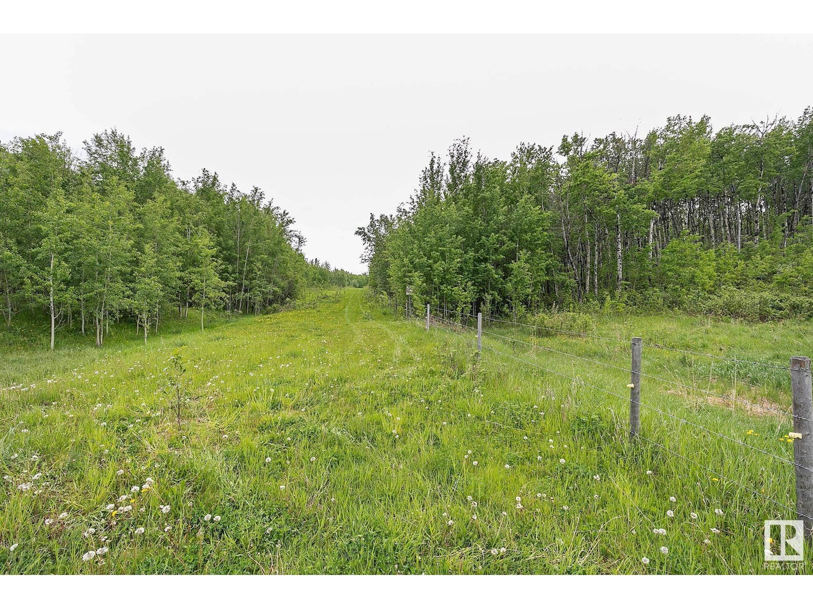 Hwy 779 Twp 544, Rural Sturgeon County, Alberta  T0G 0J0 - Photo 7 - E4410582