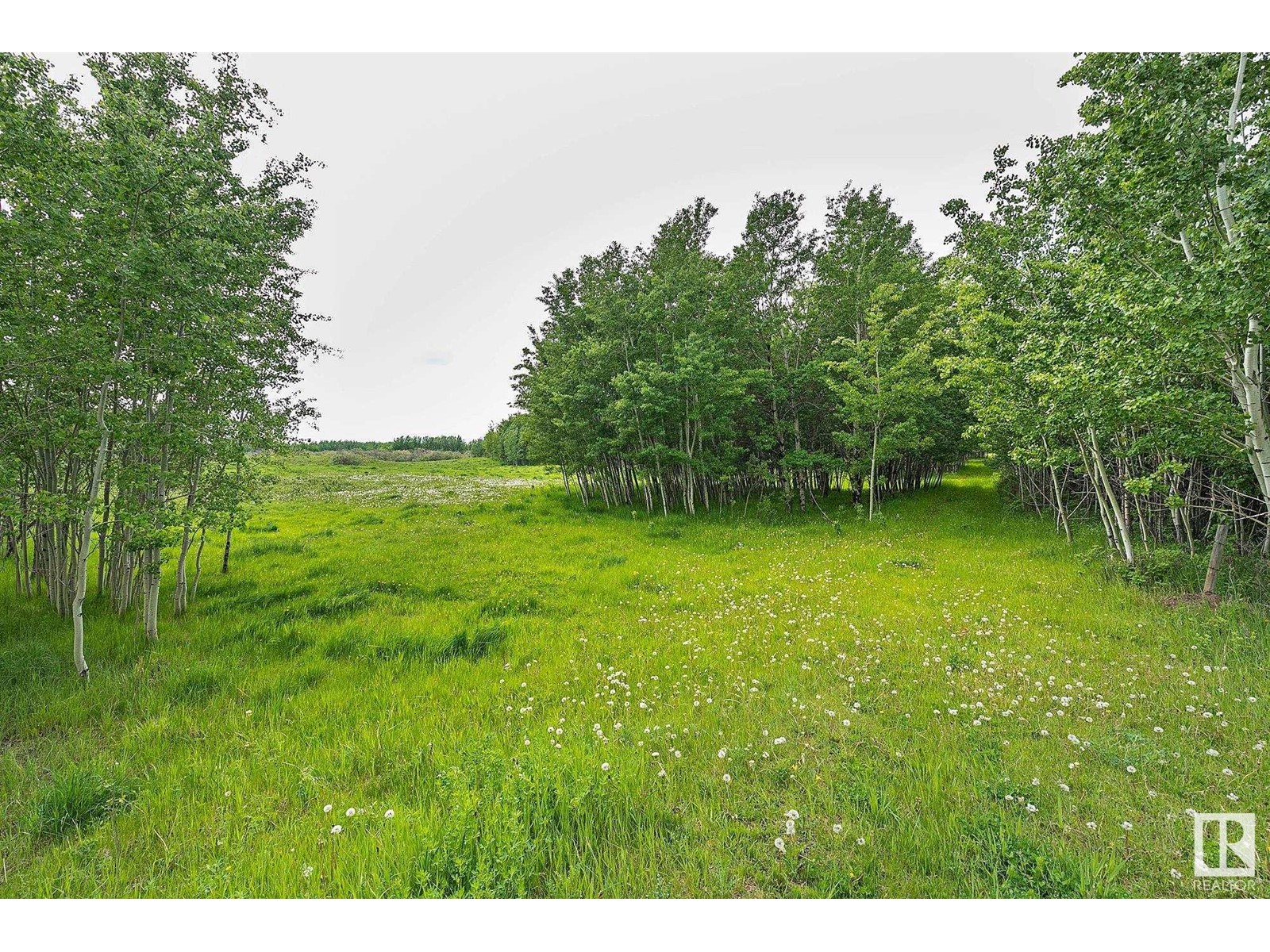 Hwy 779 Twp 544, Rural Sturgeon County, Alberta  T0G 0J0 - Photo 9 - E4410582