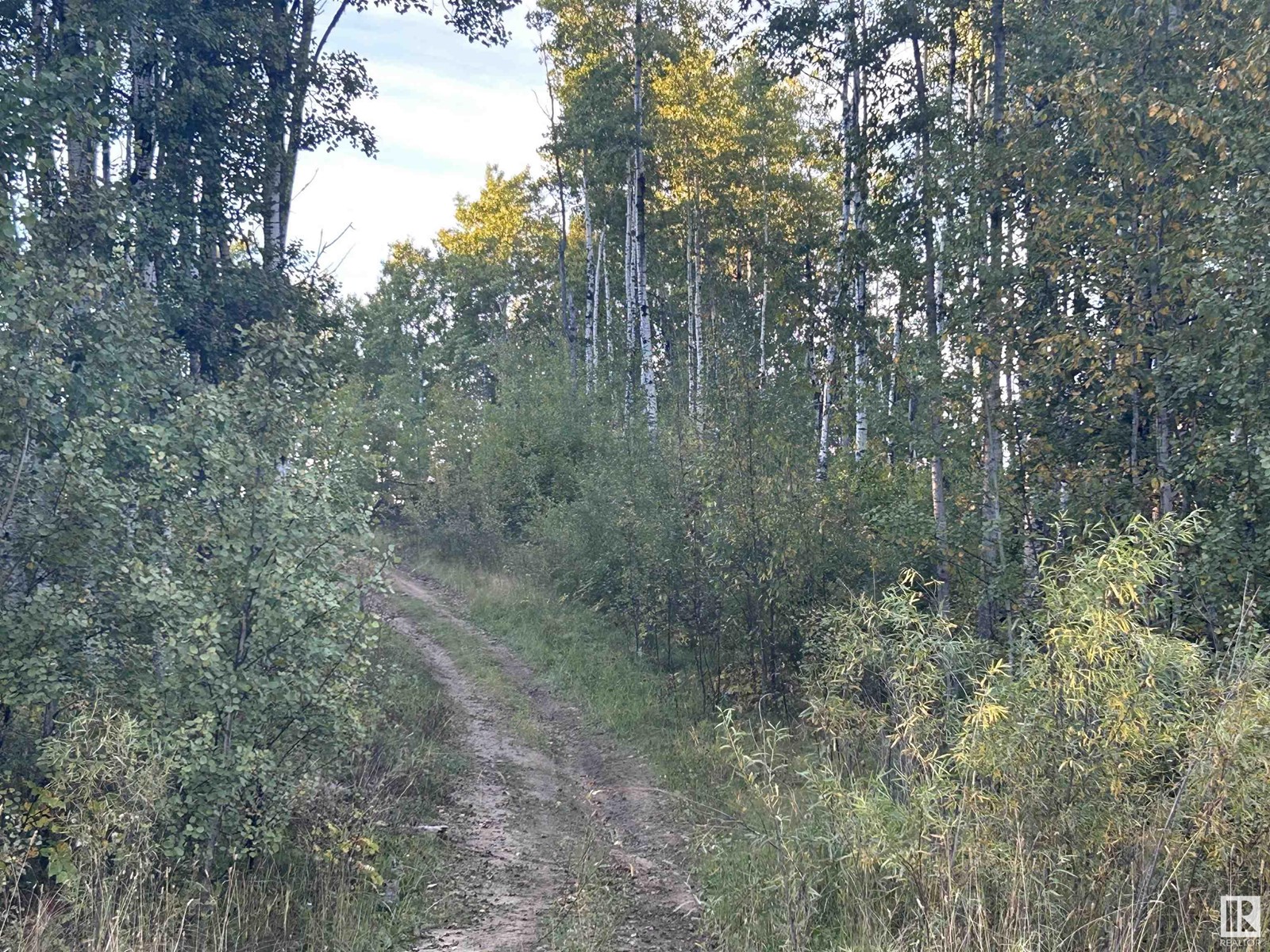 62331 RANGE RD 411A, Rural Bonnyville M.D., Alberta