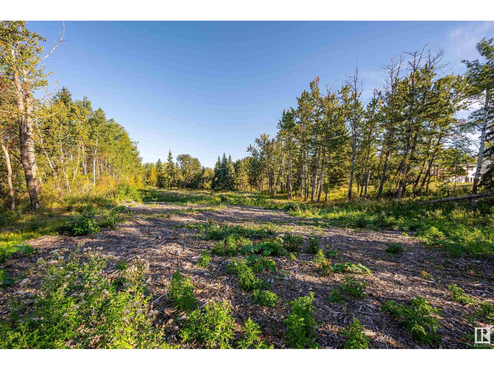 Lot 18b 52249 Rge Rd 233, Rural Strathcona County, Alberta  T8B 1C7 - Photo 3 - E4408038