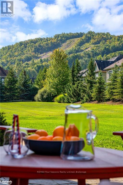 106 Manitou Court, Blue Mountains (Blue Mountain Resort Area), Ontario  L9Y 0B6 - Photo 39 - X10436526