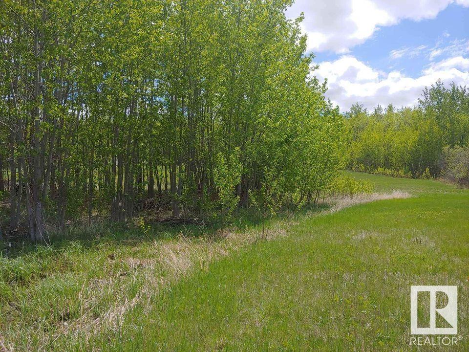 530048 Rr 191, Rural Lamont County, Alberta  T0B 0W0 - Photo 5 - E4410647