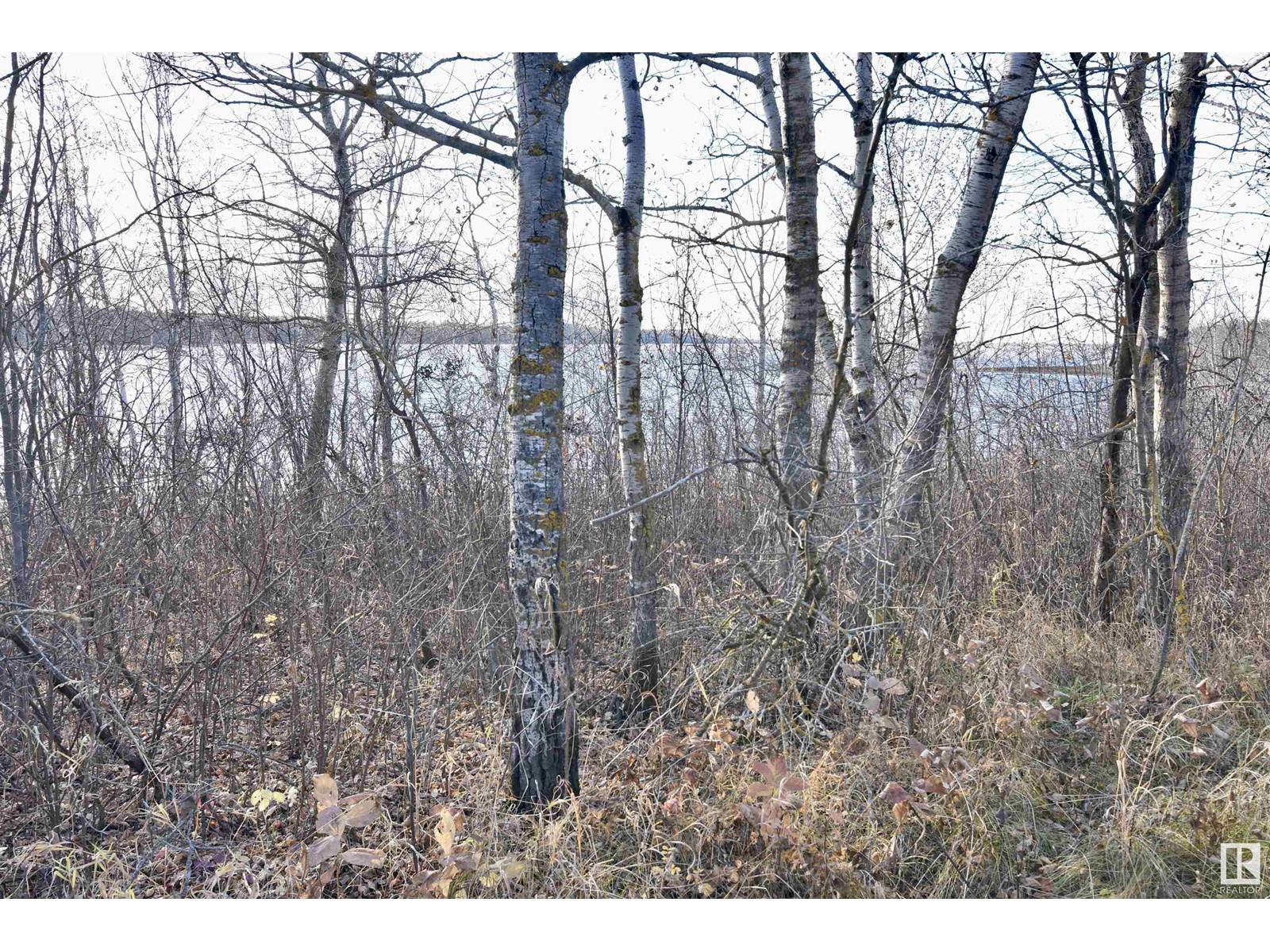Twp Rd 574 Rr 93, Rural St. Paul County, Alberta  T0A 3A0 - Photo 4 - E4411861