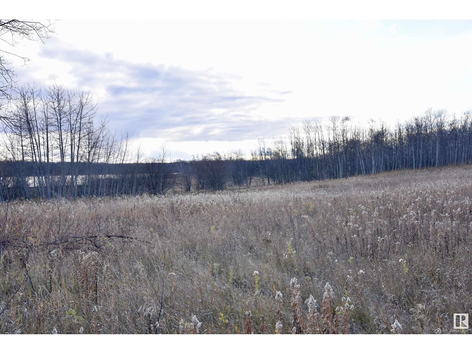 Twp Rd 574 Rr 93, Rural St. Paul County, Alberta  T0A 3A0 - Photo 2 - E4411861