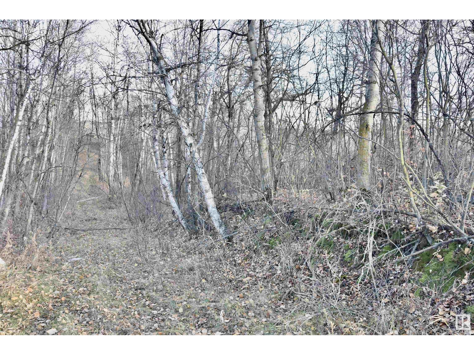 Twp Rd 574 Rr 93, Rural St. Paul County, Alberta  T0A 3A0 - Photo 6 - E4411861