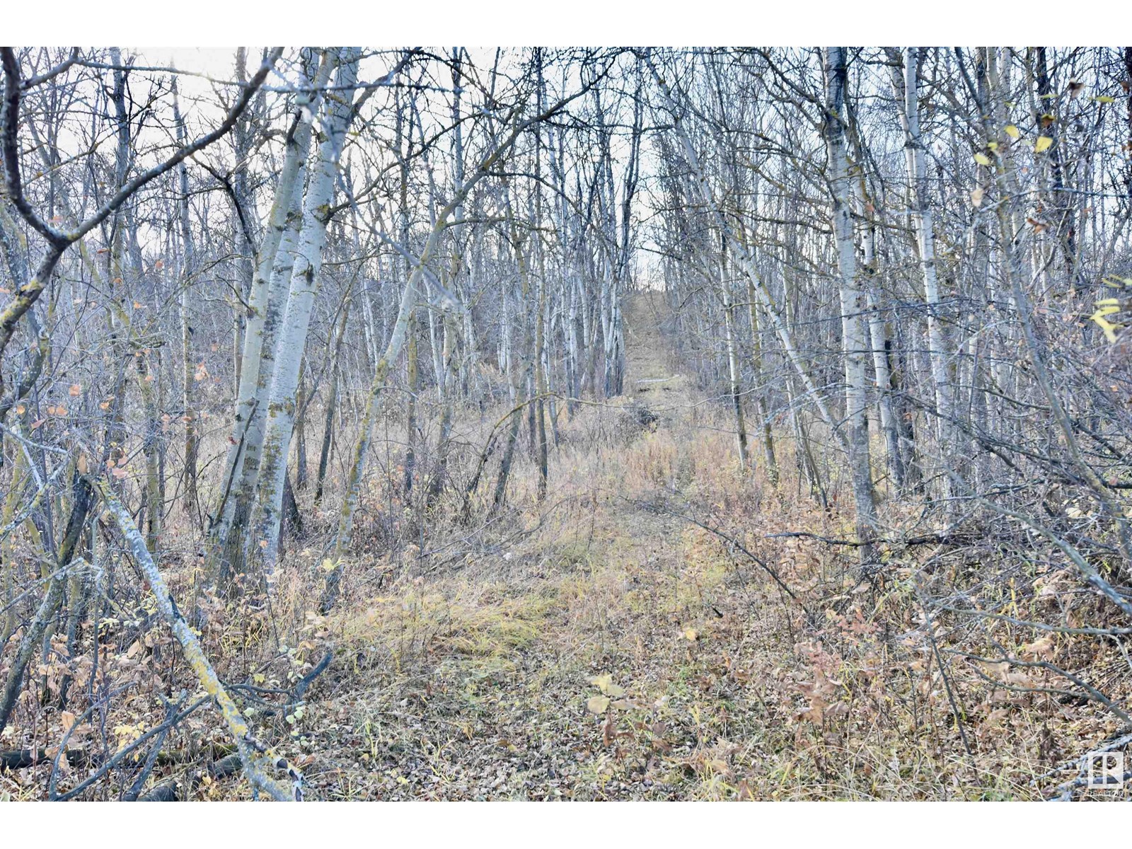 Twp Rd 574 Rr 93, Rural St. Paul County, Alberta  T0A 3A0 - Photo 3 - E4411861
