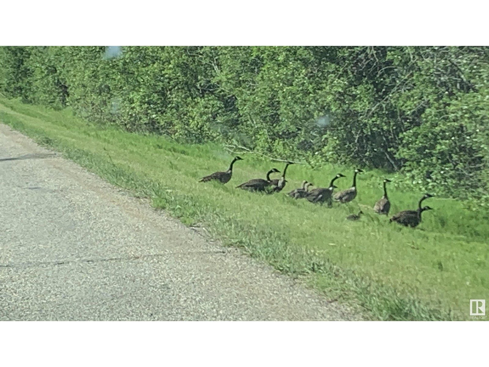 2417a Twp. Rd. 530, Rural Parkland County, Alberta  T7Y 3M9 - Photo 3 - E4413265