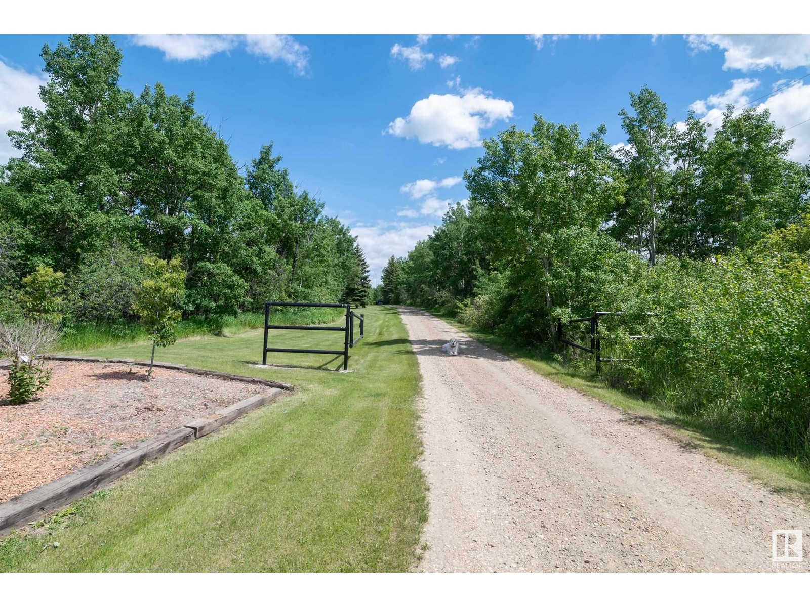 48343 Range Road 222, Rural Camrose County, Alberta  T0B 1W0 - Photo 59 - E4408776