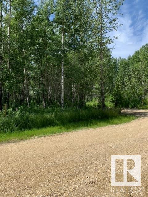 138 5519 Twp Rd 550, Rural Lac Ste. Anne County, Alberta  T0E 0L0 - Photo 8 - E4406283