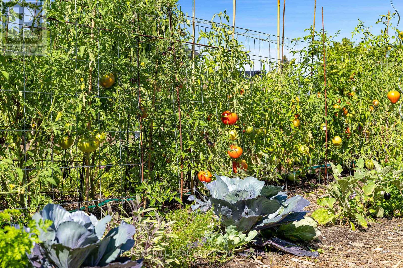 10 Leslie Drive, Collingwood, Ontario  L9Y 4P2 - Photo 26 - S10420047