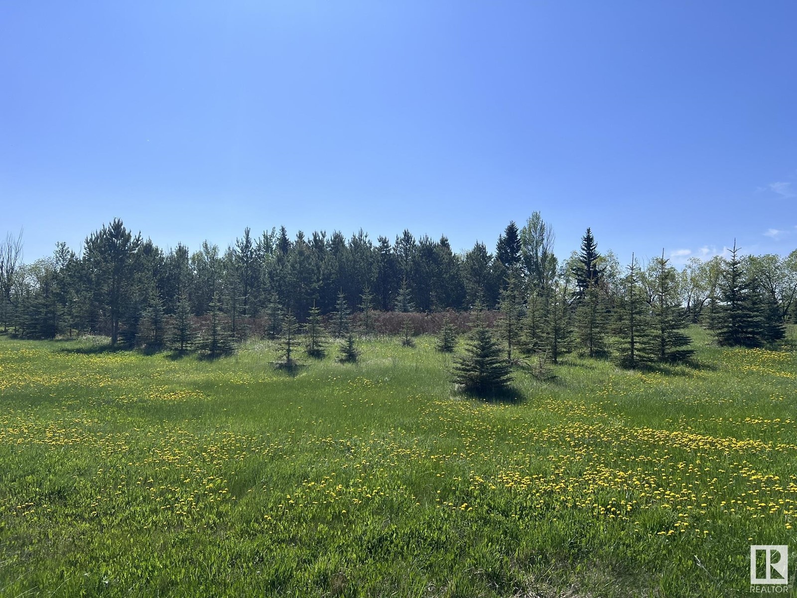 59525 Rr 270, Rural Westlock County, Alberta  T7P 2N4 - Photo 52 - E4415354