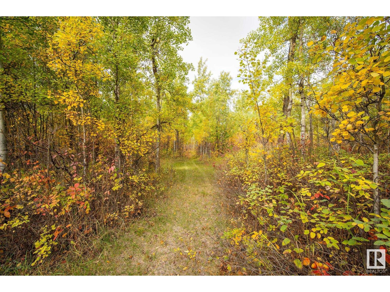 #1040 50242 Rge Road 244 A, Rural Leduc County, Alberta  T4X 0P4 - Photo 72 - E4410015