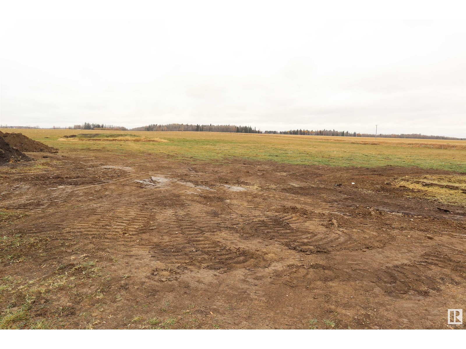 Se-30-48-1-W5 Rge Rd 15 Twp 484, Rural Leduc County, Alberta  T0C 2P0 - Photo 35 - E4411934