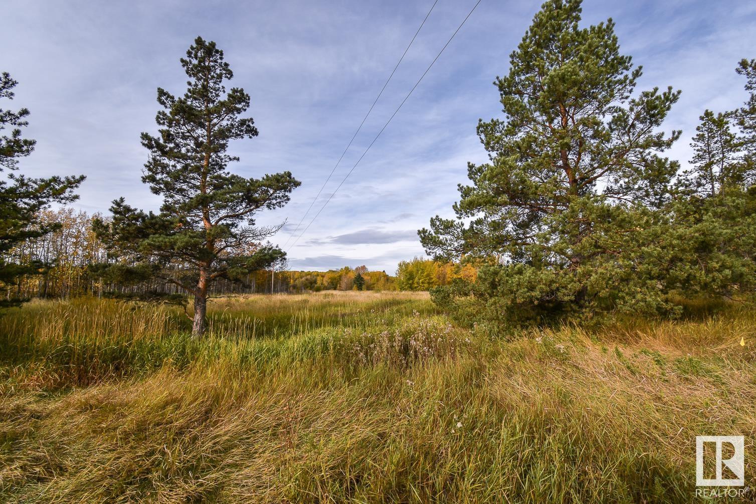 5006 Trail Of 1898, Rural Lac Ste. Anne County, Alberta  T0E 0J0 - Photo 52 - E4409546