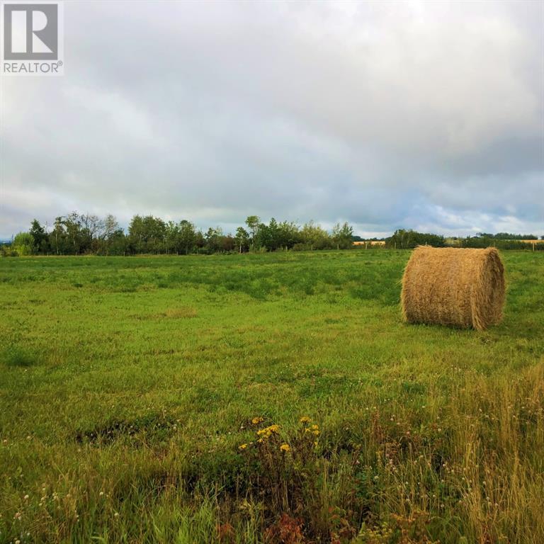 42 713019 Range Road 71, County Of, Alberta  T8W 5E9 - Photo 6 - A2182044