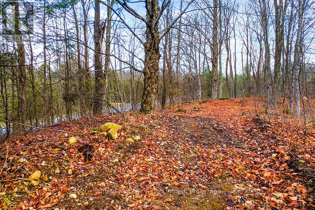 Ptlt 16 Sideroad 5, Chatsworth, Ontario  N0H 1G0 - Photo 10 - X11896578