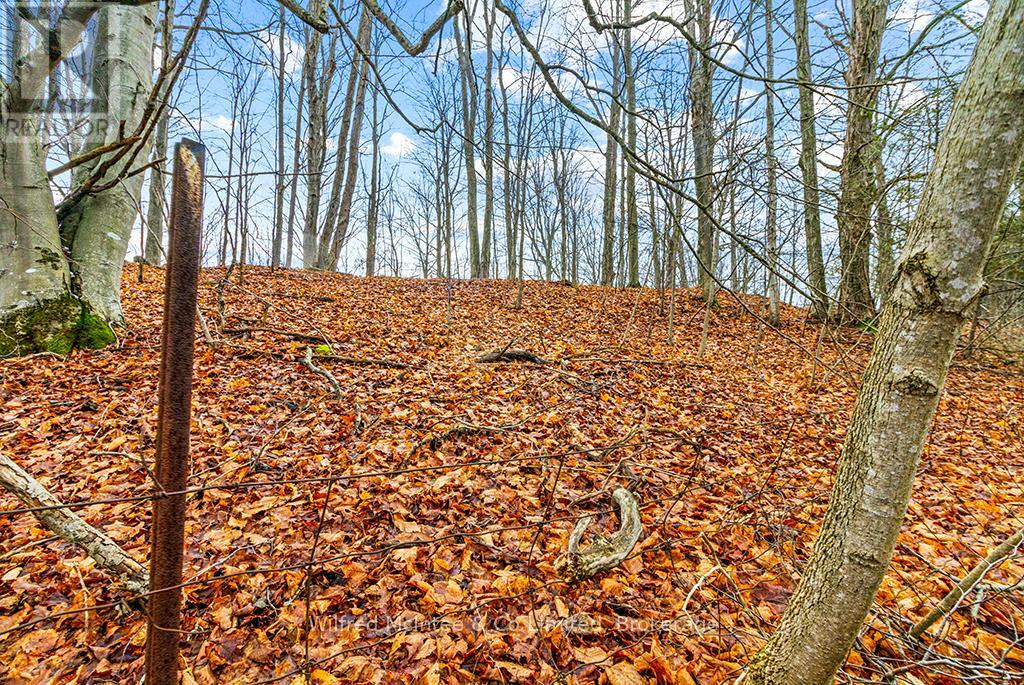 Ptlt 16 Sideroad 5, Chatsworth, Ontario  N0H 1G0 - Photo 12 - X11896578