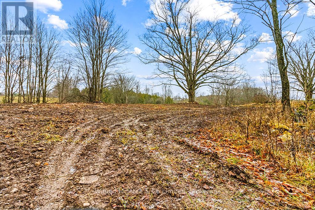 Ptlt 16 Sideroad 5, Chatsworth, Ontario  N0H 1G0 - Photo 4 - X11896578