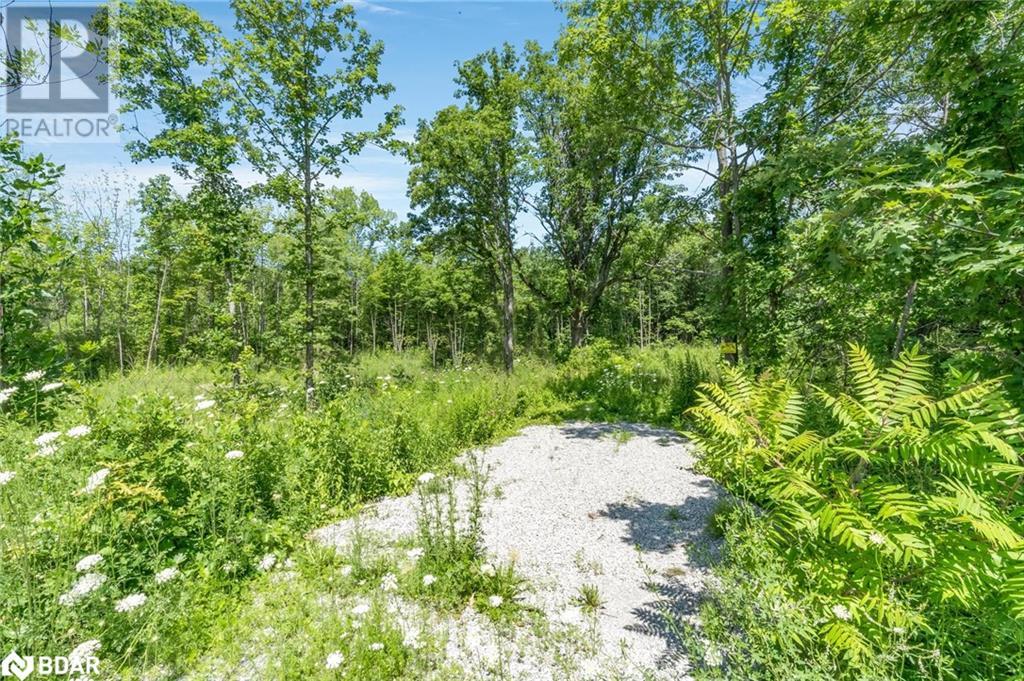 88 Musky Bay Road, Port Severn, Ontario  L0K 1S0 - Photo 4 - 40684511