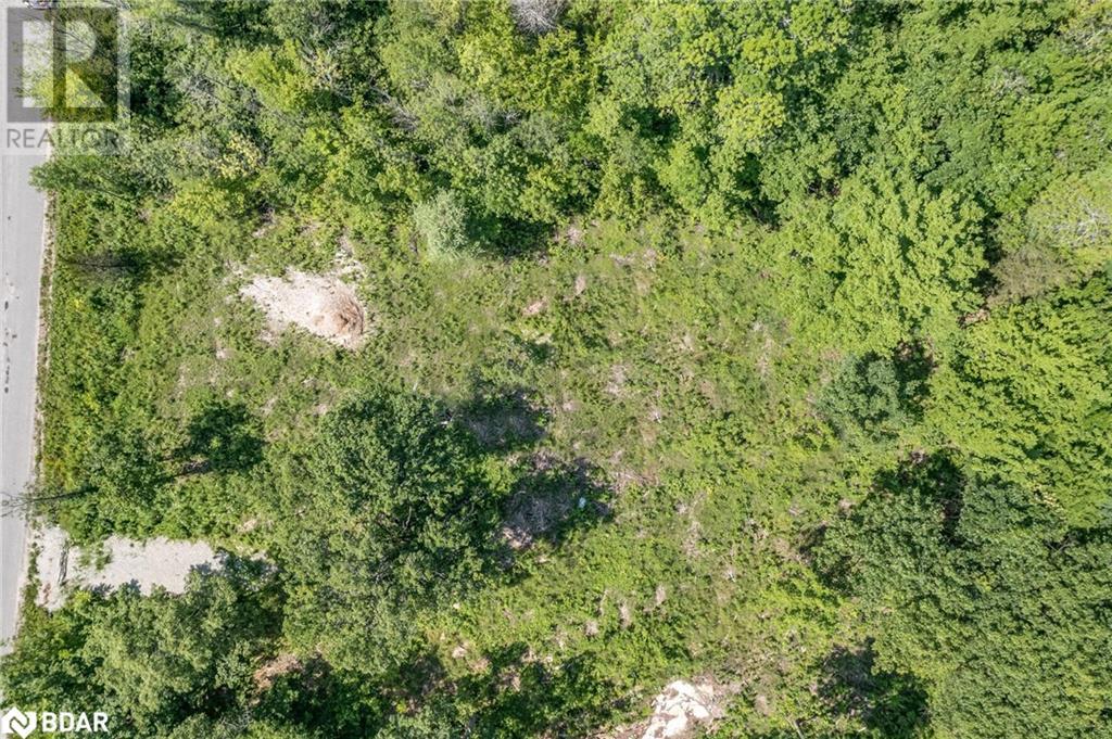 88 Musky Bay Road, Port Severn, Ontario  L0K 1S0 - Photo 6 - 40684511