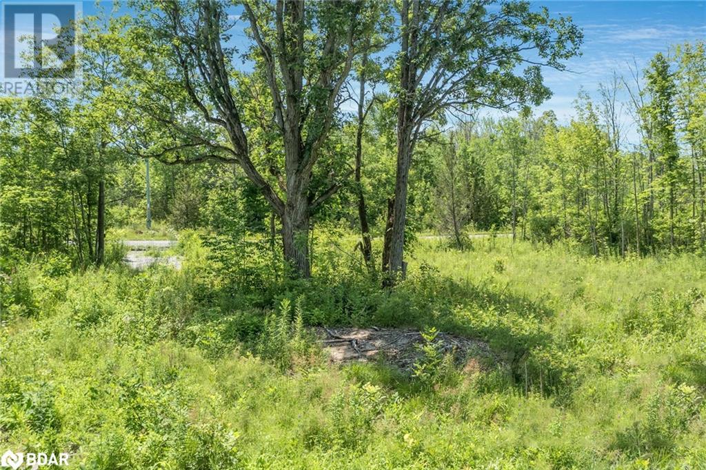 88 Musky Bay Road, Port Severn, Ontario  L0K 1S0 - Photo 5 - 40684511