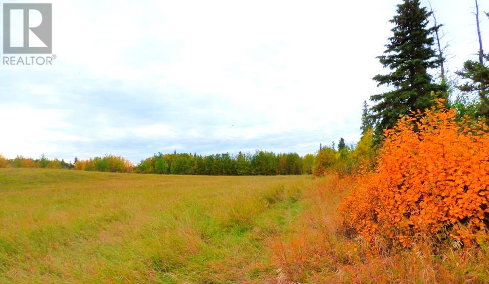30 Lac La Biche Settlement, Lac La Biche, Alberta  T0A 2C0 - Photo 10 - A2183681