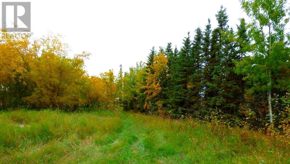 30 Lac La Biche Settlement, Lac La Biche, Alberta  T0A 2C0 - Photo 6 - A2183681
