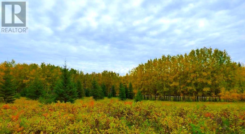 32 Lac La Biche Settlement, Lac La Biche, Alberta  T0A 2C0 - Photo 7 - A2183700