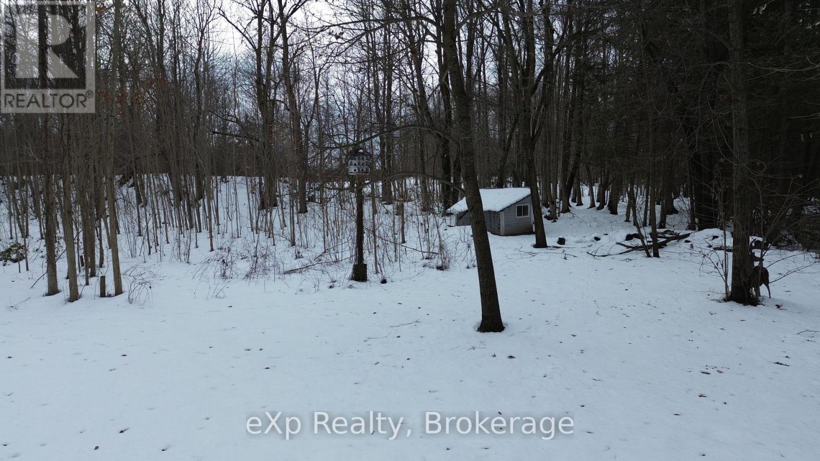 226046 Centreville Road, Meaford, Ontario  N4L 0A7 - Photo 6 - X11896810