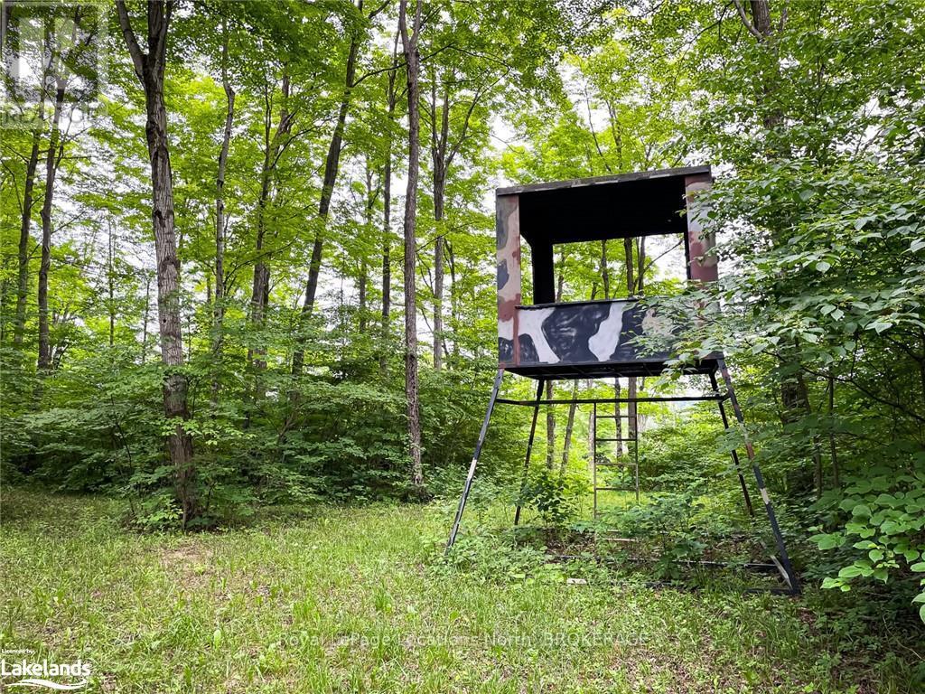 545413 4a Side Road N, Grey Highlands, Ontario  N0C 1H0 - Photo 33 - X10895595