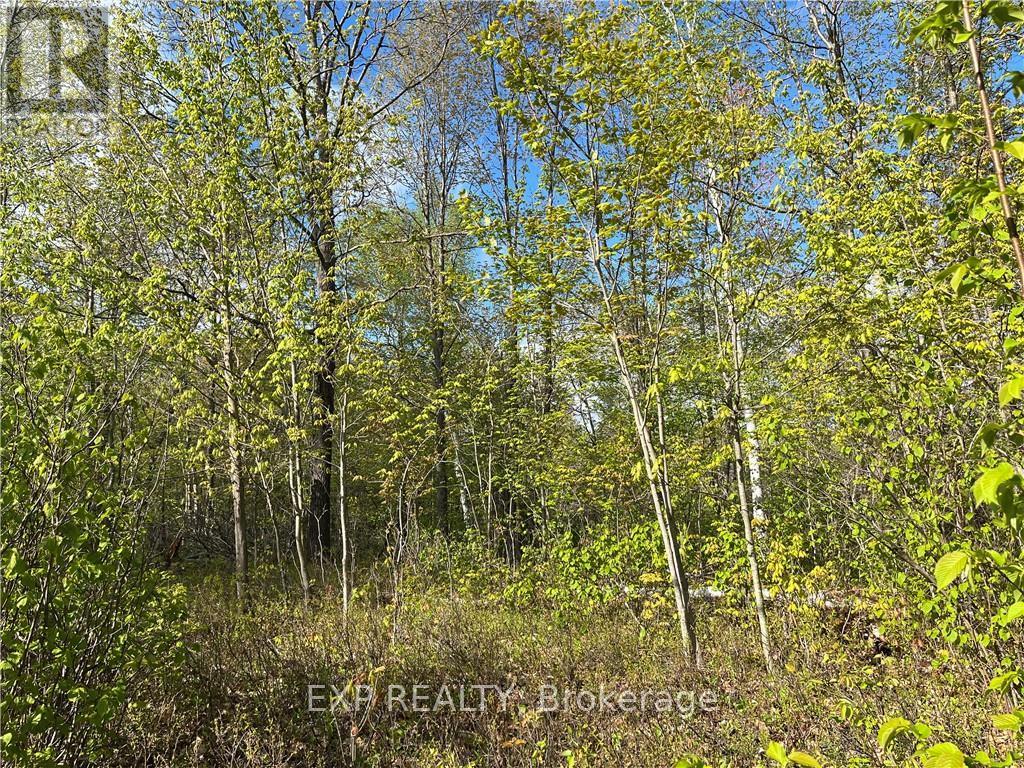 Lot 6 Casson Trail, Madawaska Valley, Ontario  K0J 1B0 - Photo 1 - X9515401