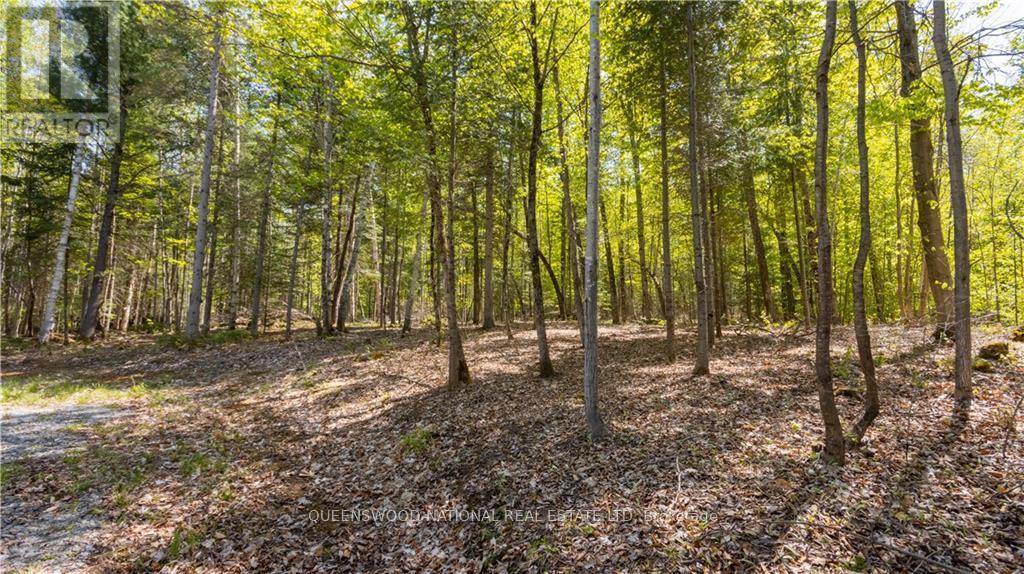 38986a Combermere Road, Madawaska Valley, Ontario  K0J 1L0 - Photo 16 - X9515585