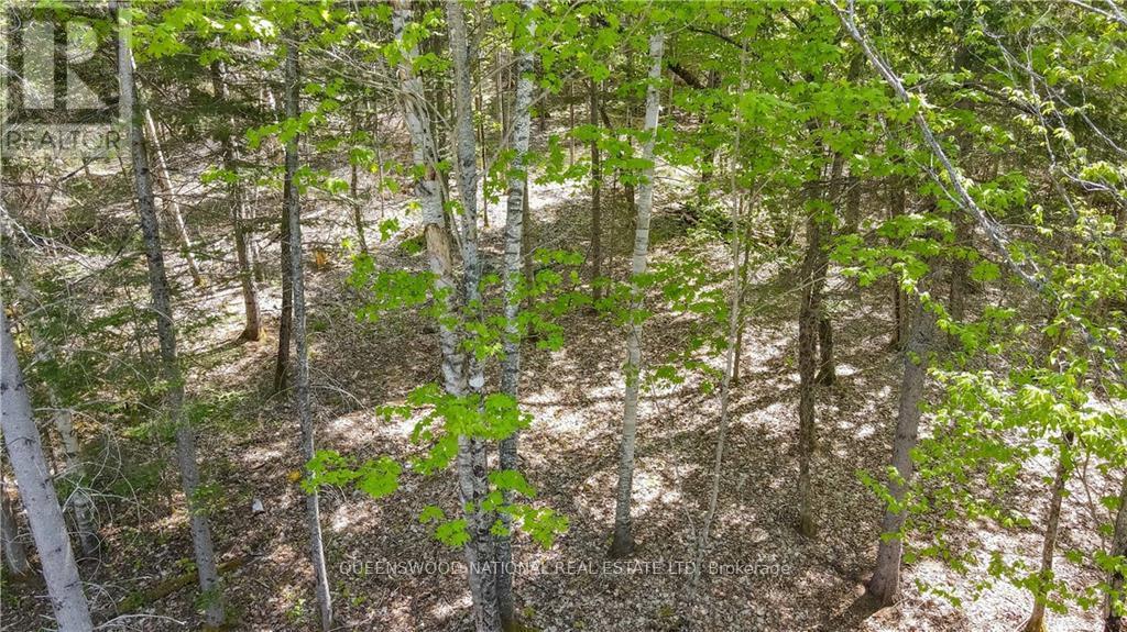38986a Combermere Road, Madawaska Valley, Ontario  K0J 1L0 - Photo 26 - X9515585