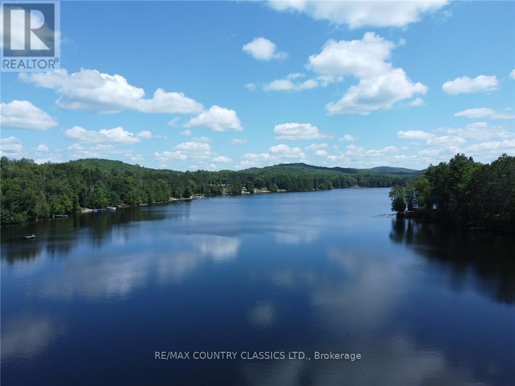 107 Blackfish Bay Road, Madawaska Valley, Ontario  K0J 1B0 - Photo 6 - X9516098