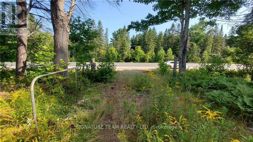 20185 Highway 60, Madawaska Valley, Ontario  K0J 1B0 - Photo 3 - X9517671