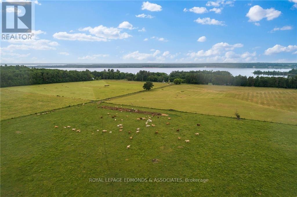 0 Rapid Road, Whitewater Region, Ontario  K0J 2L0 - Photo 22 - X9518492