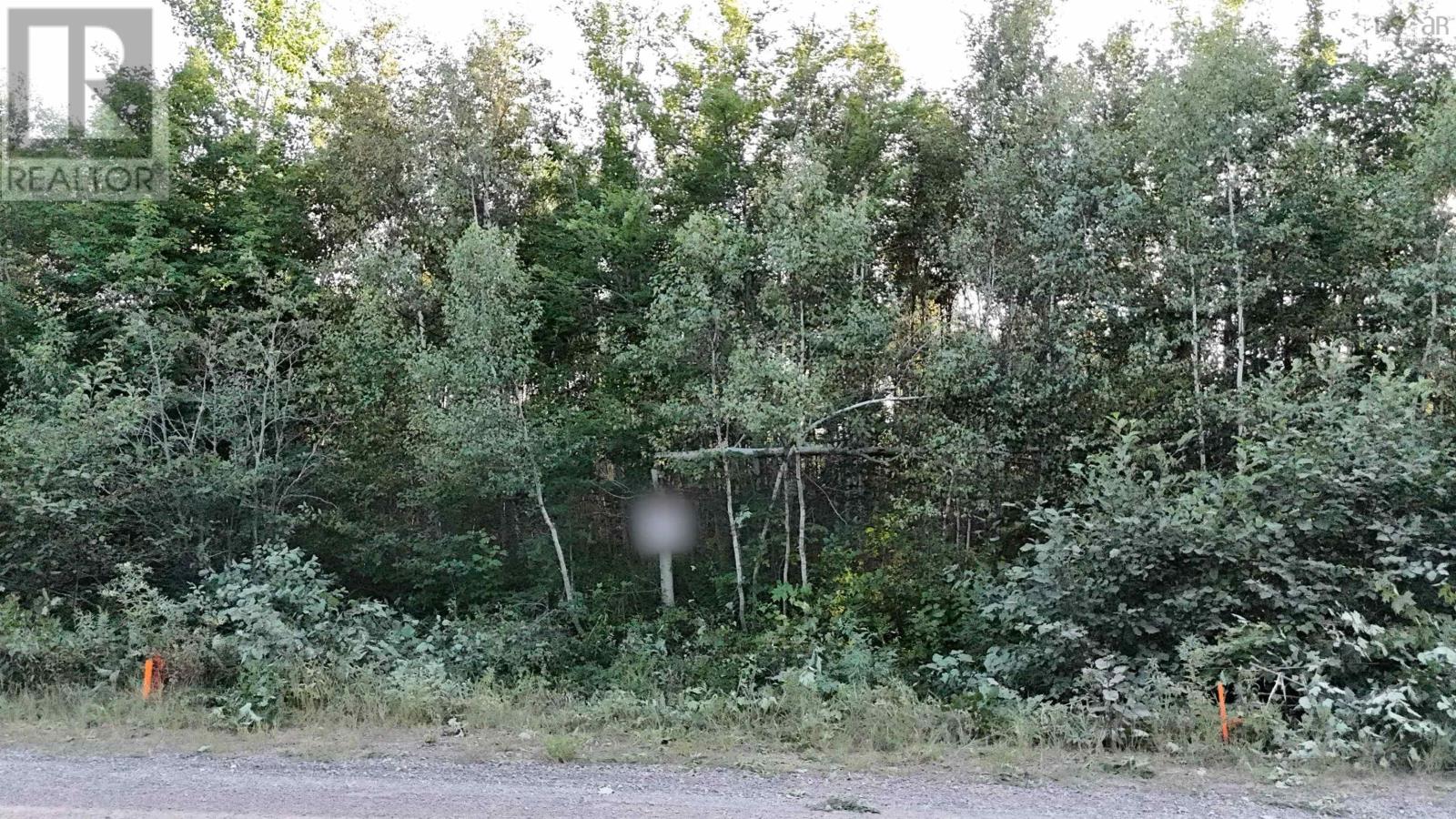 Lot 12 Joudrey Road, Louisville, Nova Scotia  B0K 1N0 - Photo 5 - 202420827