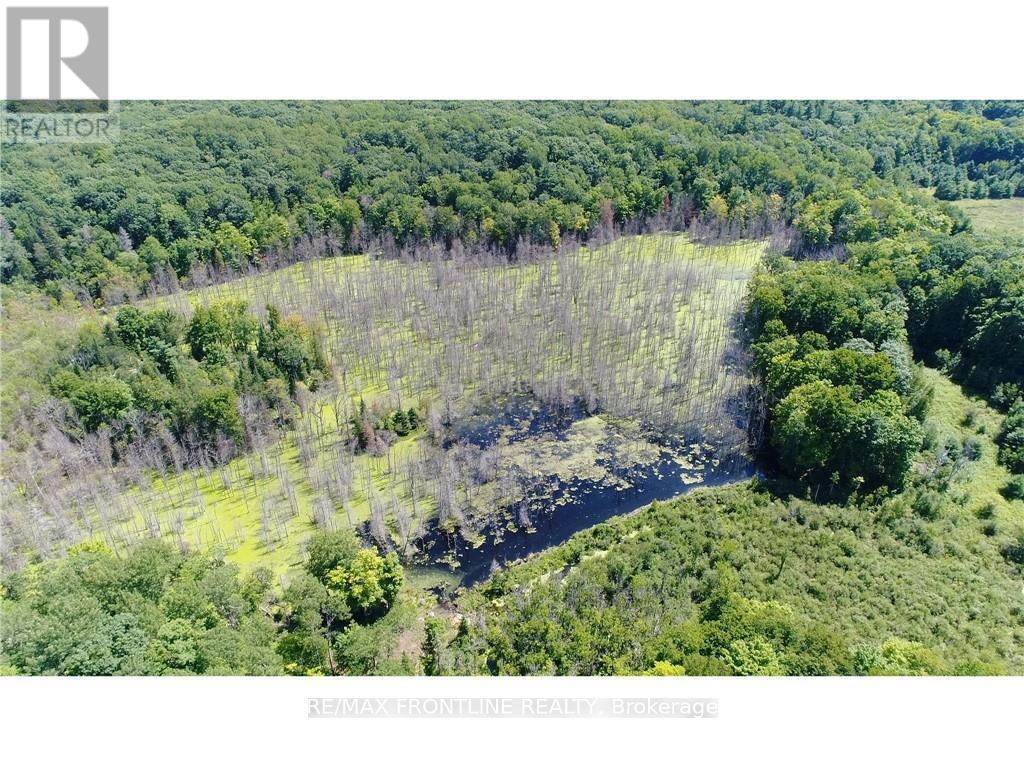 East Pt Lot 6 Con 4 Road, Tay Valley, Ontario  K0H 2B0 - Photo 8 - X9517653