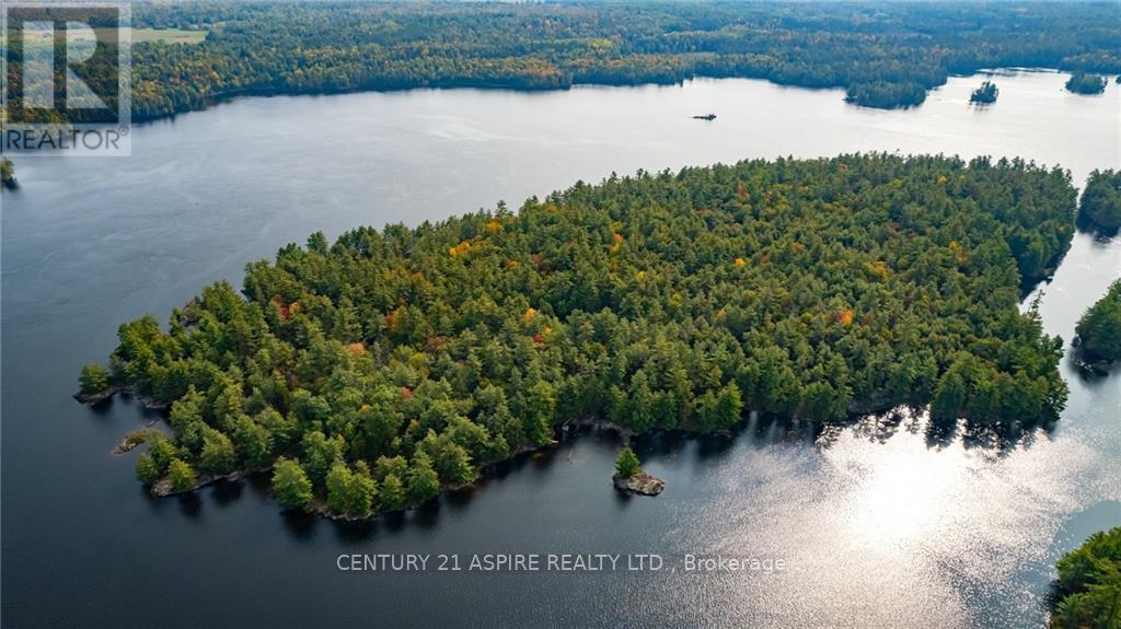 950 Kerr Line, Whitewater Region, Ontario  K0J 1K0 - Photo 12 - X9522540