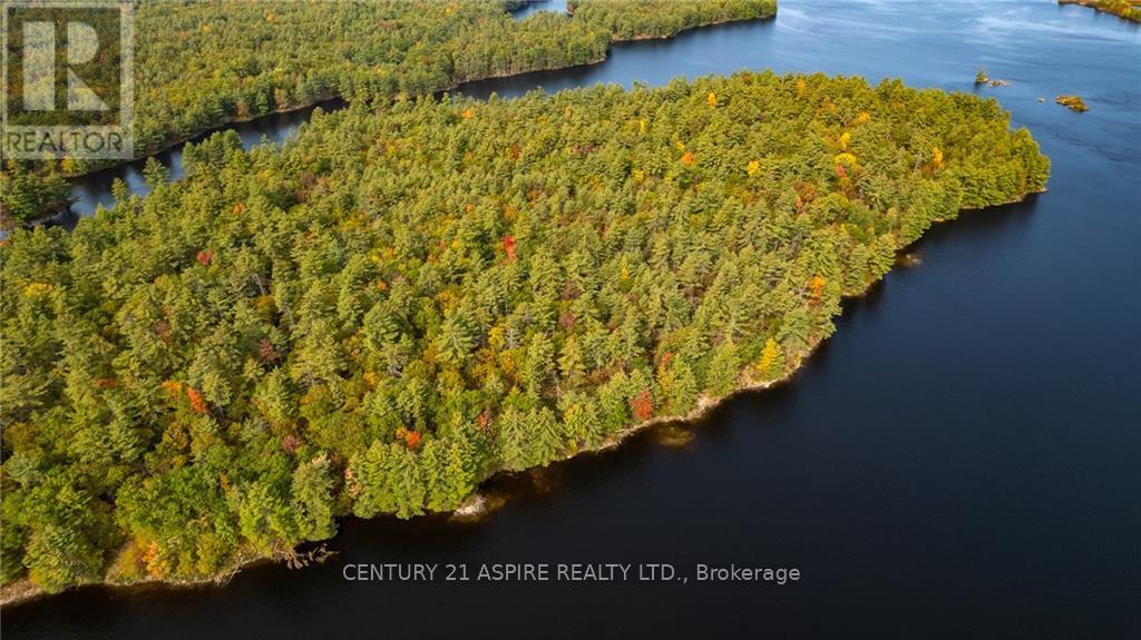 950 Kerr Line, Whitewater Region, Ontario  K0J 1K0 - Photo 21 - X9522540