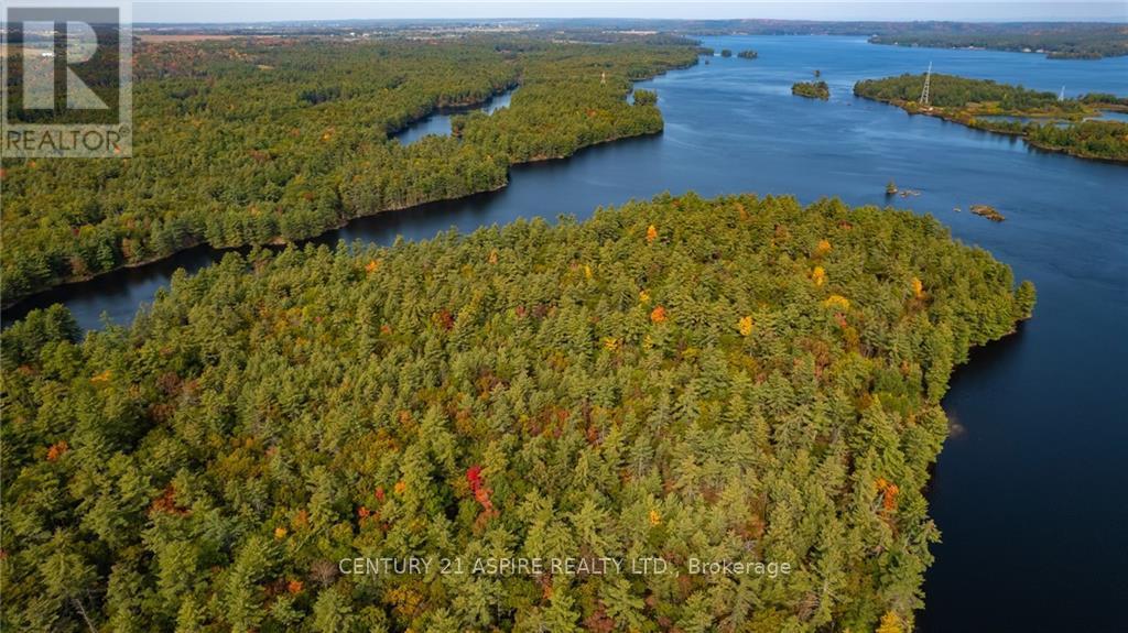 950 Kerr Line, Whitewater Region, Ontario  K0J 1K0 - Photo 24 - X9522540