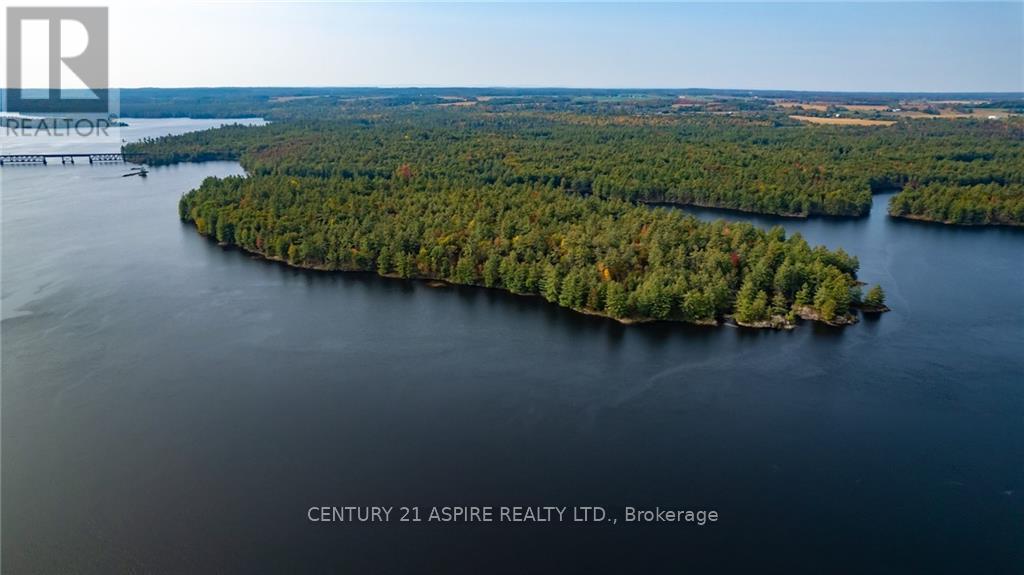 950 Kerr Line, Whitewater Region, Ontario  K0J 1K0 - Photo 4 - X9522540