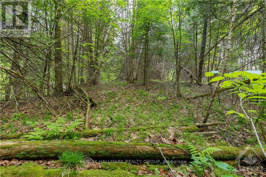 000 3rd Concession Dalhousie Road, Lanark Highlands, Ontario  K0G 1K0 - Photo 14 - X9516183