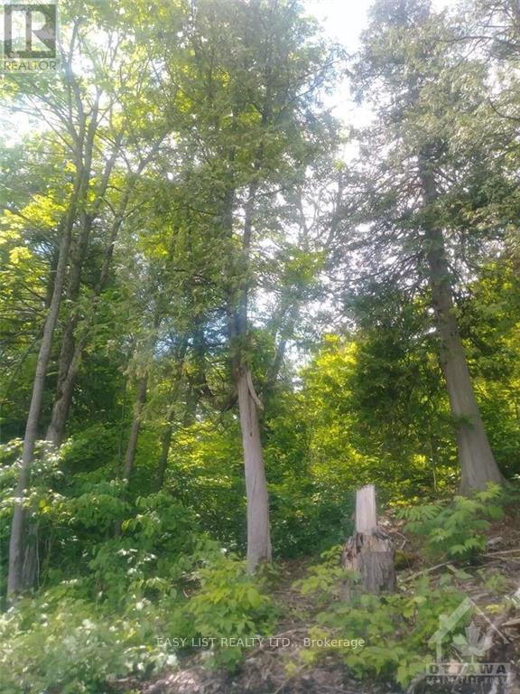 00 River Road, Mcnab/braeside, Ontario K0A 1G0 - Photo 12 - X9521149